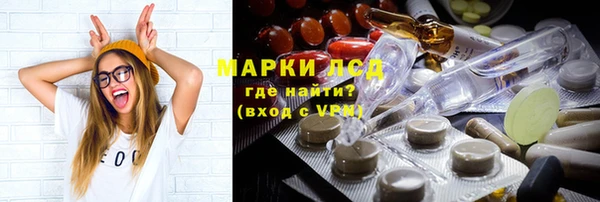 индика Алзамай