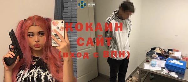 индика Алзамай