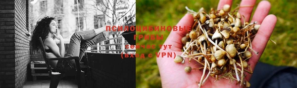 стафф Алексин