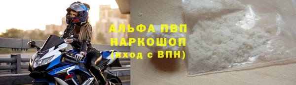 стафф Алексин