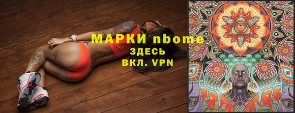индика Алзамай