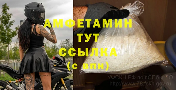 индика Алзамай