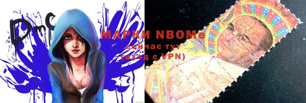 индика Алзамай