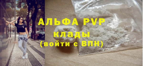 стафф Алексин